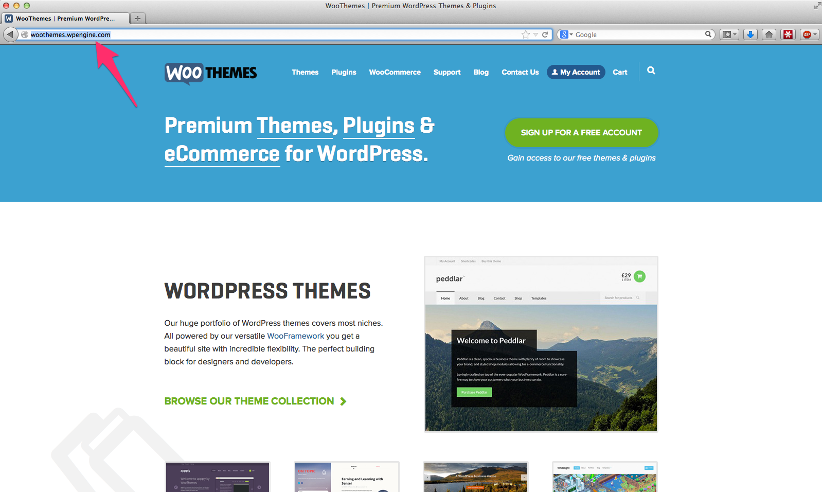 woothemes-wpengine-fail